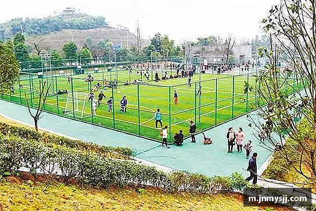 解读威克电竞官网